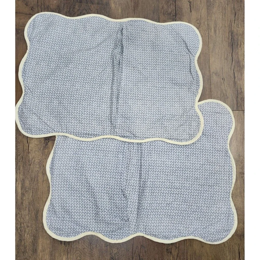 Vtg Shabby Cottagecore Pillow Shams Floral Set of 2